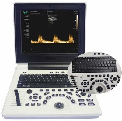 Qualidade  12in LCD Display Veterinary Ultrasound Equipment For Large Animals FDA ISO Fábrica