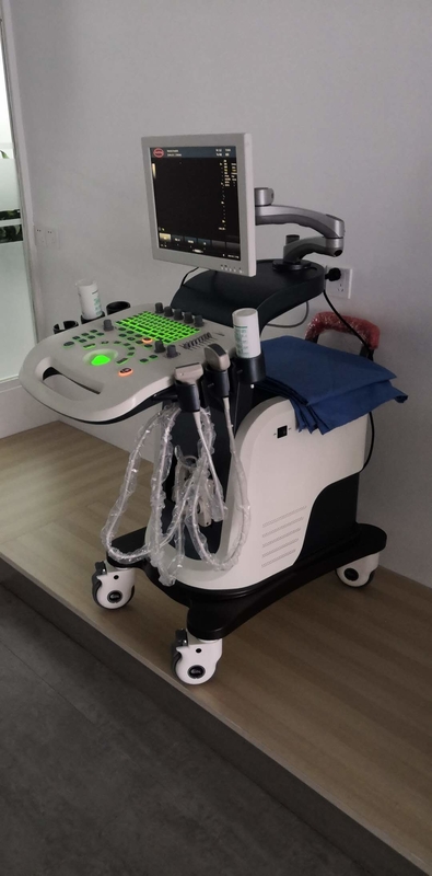 Dispositivo de alta resolução 3D 4D da máquina do ultrassom de Doppler da cor cardíaco