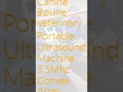 Ponta de prova convexa portátil veterinária bovina da disposição da máquina 3.5Mhz do ultrassom do canino de USB